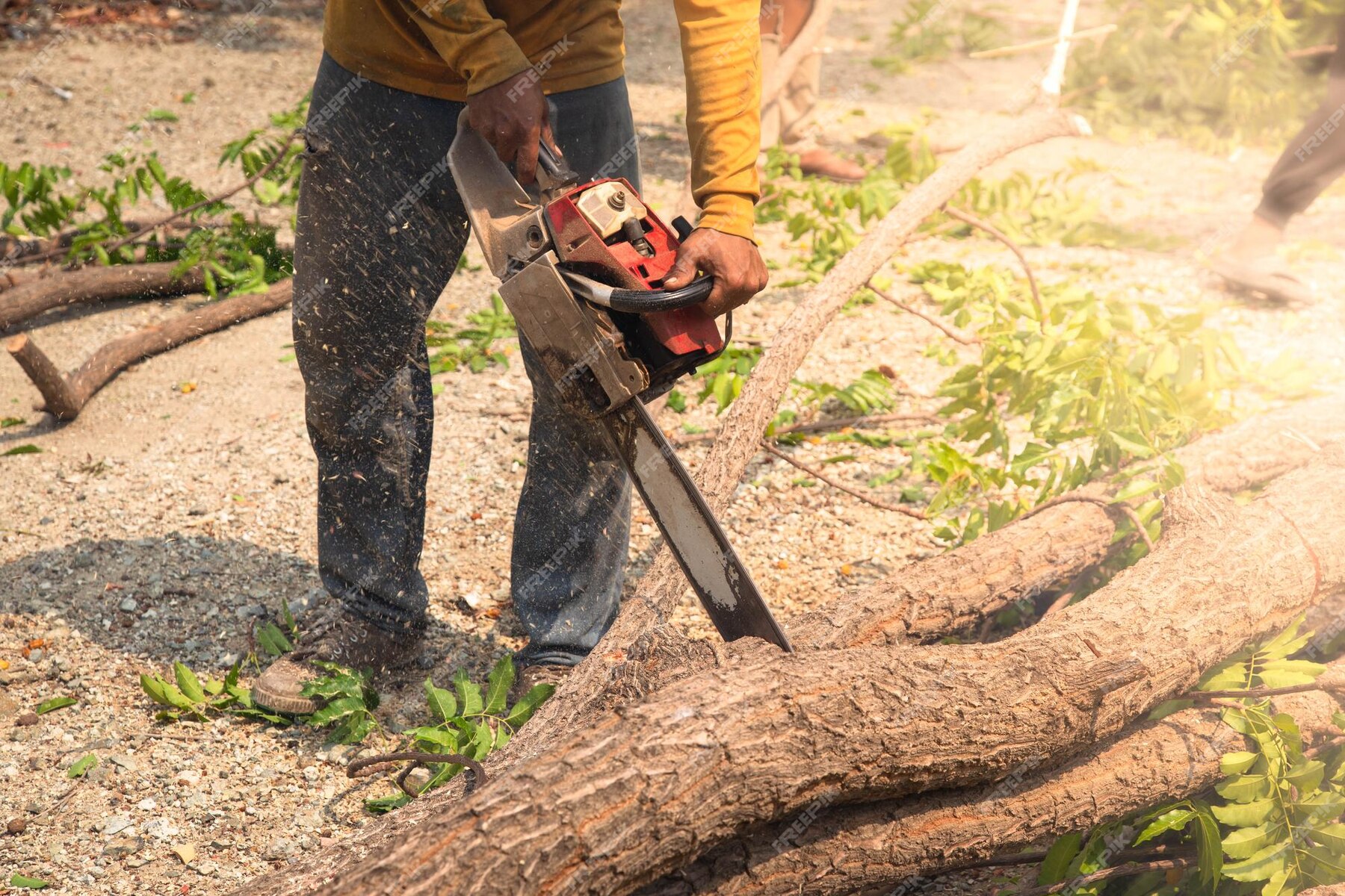 man-working-farm_1048944-29765230